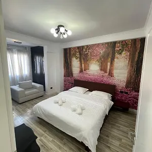 Daire Center, Tiran